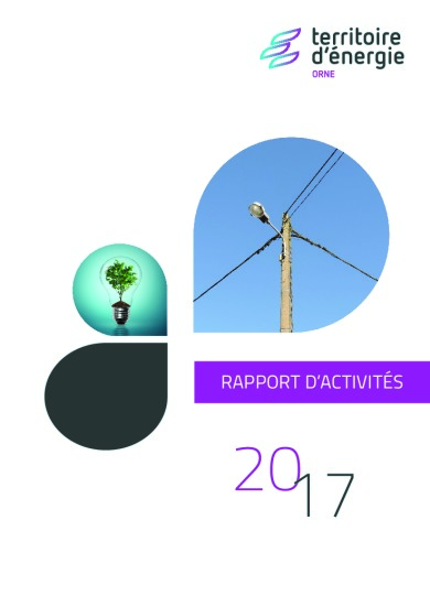 Rapport d’activités – 2017
