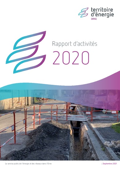 Rapport d’activités – 2020